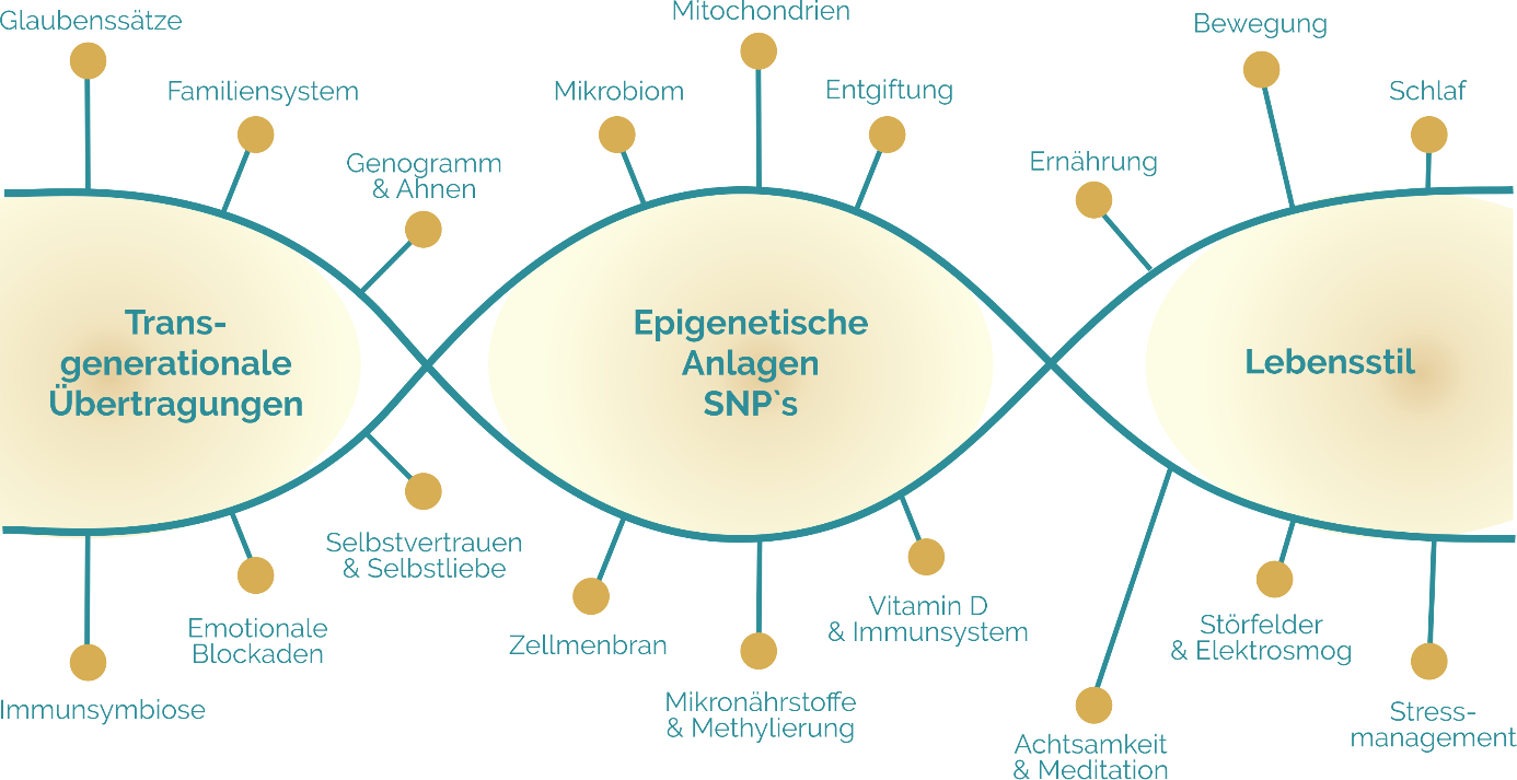Was heißt • epifamily